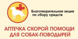 Клуб «Актырнак» и БФ «Твердая почва» объявили о совместной акции.